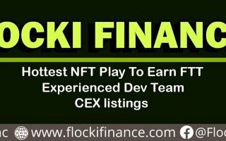 FLOCKI FINANCE IS AN NFT MARKETPLACE PLATFORM OVERVIEW