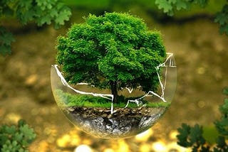 The Global Climatech Push