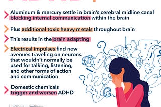 Neurobiological Foundations of Attention Deficit Hyperactivity Disorder