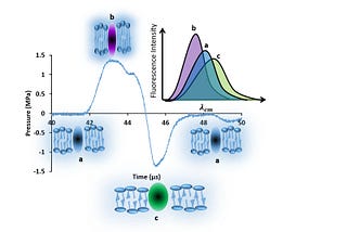 Assuming one-dimensional sensitivity of fluorescent environmental probes can be misleading.