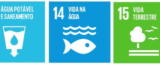 Programação digitologias Belo Jardim 2017