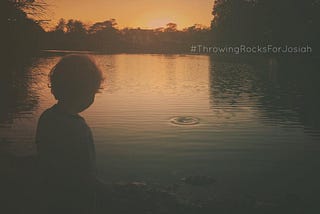 Throwing Rocks…