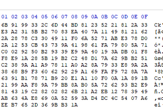 Hex View of the Save File