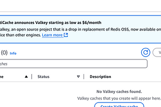 Optimising Costs with Valkey on Amazon ElastiCache