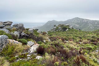 Exploring the Poison Basin