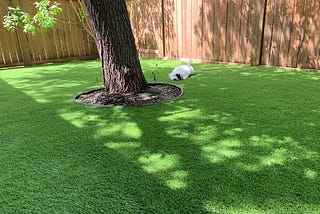 The Art of Synthetic Turf Replacement