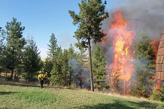 Get Ready: May 3 is Wildfire Community Preparedness Day