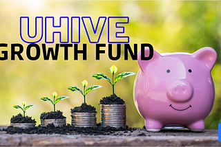 UHIVE GROWTH FUND