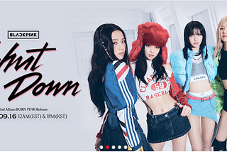 User Experience: YG Family website