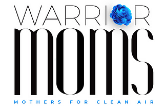 About Warriors Who Fight for Clean Air