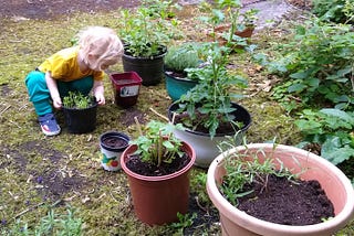 Looking At Life Under the Pots