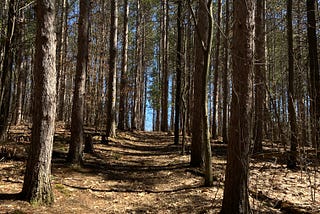 First hike of the year