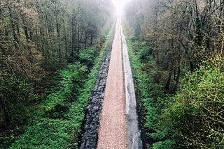 Ventagli Monumento #3 — Parigi Roubaix