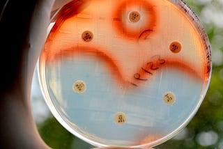 Diagnostic Tests Can Help Prevent Antibiotic Resistance and Save Lives — If We Just Use Them