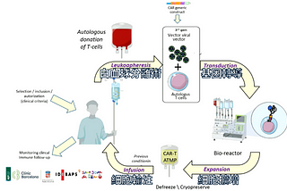 細胞治療懶人包：血液科醫師持續更新的筆記 (Cell therapy, CAR-T )