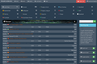 Is a Turnkey Sportsbook Software Right for Your Business?