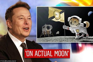 Doge to the Moon: decrypting Elon’s latest twitter campaign