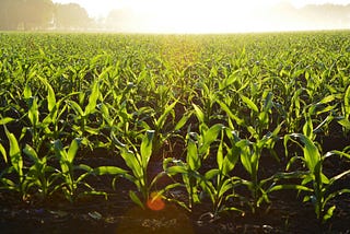 Romanticizing Rural America