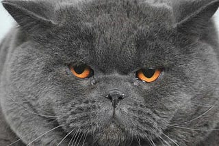 #048 Once More…Tax The Fat Cats