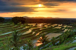 The Seka of the Tabanan in Bali: A Reflection of the Greater Society