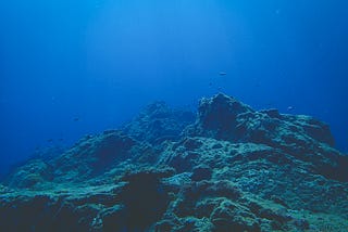 Beyond the Sea