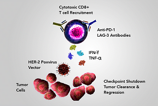 What’s Next in Immune checkpoints: Is LAG-3 emerging as a potential combination partner with PD-1?