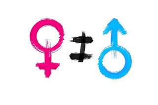 FEMINISM SHOULD BE BANNED