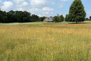 July!?! Peak Heat Pauses, Spotted Spurge Broadleaf Weed, Purdue Field Day and Knotweed Research