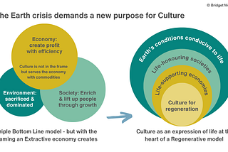 The Roles of Culture in Response to the Earth Crisis