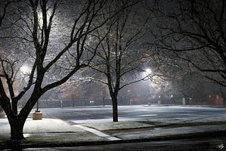 Street lights illuminate snowfall and sillhouettes trees in a dark parking lot.