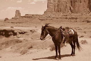 A saddled pony stands in the desert with rock formations in the background.