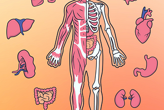The Marvels Within: Astonishing Facts About the Human Body