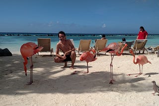 Aruba, flamingos!