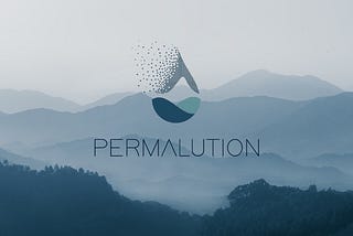 Permalution Launches $3M Seed Fundraising Round