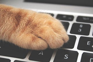 A ginger cat’s paw on a macbook computer keyboard.