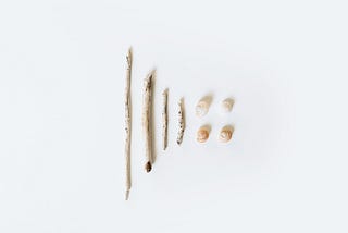 A collection of 4 sticks and four shells. The sticks are arranged vertically from largest to smallest. The four shells are approximately the same size. They are placed vertically, in pairs, beside the smallest stick. The items are on a white background.