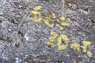 Climbing grade painted at a route