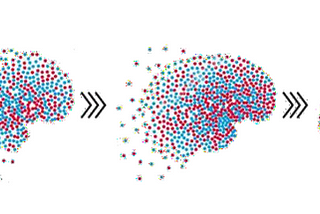 Intelligent Container Tracking Solutions