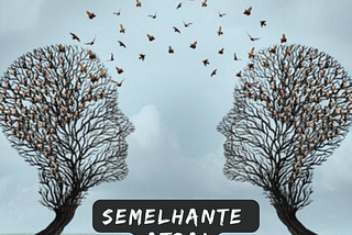 CO149 — Semelhante atrai semelhante