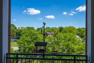 Attracting Birds from a Birdseye View