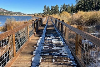 A scenic hiking trail surrounded by towering pine trees near Big Bear Lake, California, with sunlight filtering through the forest, symbolizing personal growth, self-reflection, and the balance between stability and evolution