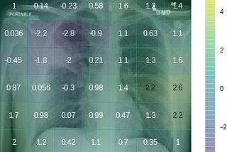 What are radiological deep learning models actually learning?