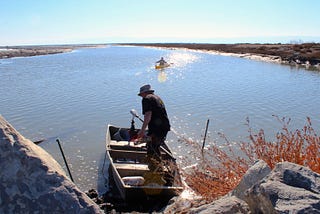 In the South Bay Salt Ponds, Better Science Through Fishing