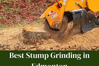 Best Stump Grinding in Edmonton