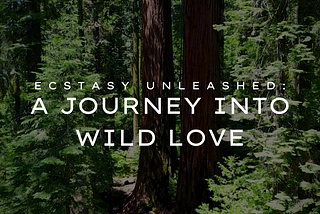 Ecstasy Unleashed: A Journey into Wild Love