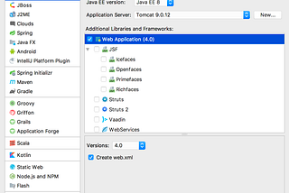 Developing Java EE Application