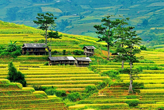 A Trip to Vietnam: Exploring the Charm of Southeast Asia