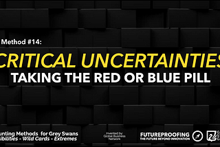 The Hunt for Grey Swans — Top 15 Methods & Frameworks — #14 Critical Uncertainties