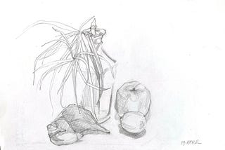 27 Drawings of the Same Still Life During a Global Pandemic