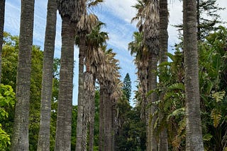 Botanical garden